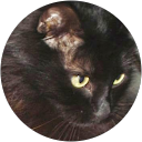 Karen Galloway profile picture